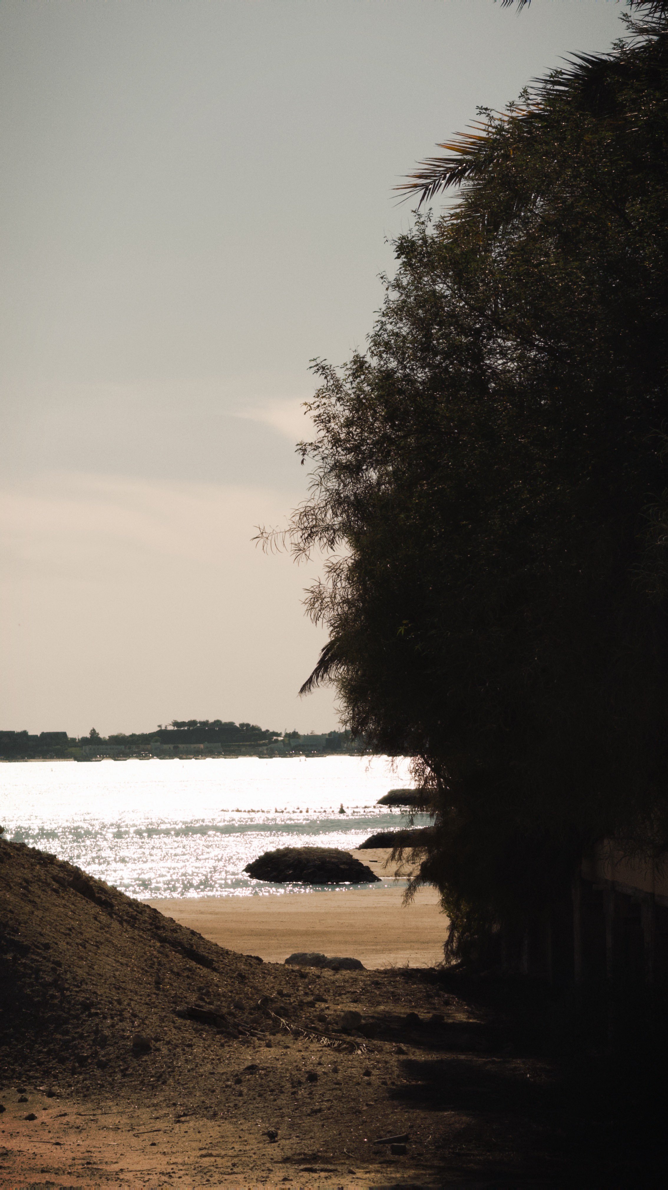 Nature photography